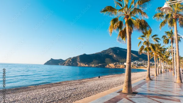 Albir