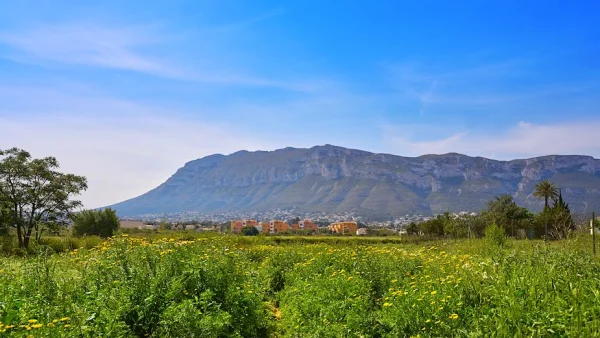 Montgó