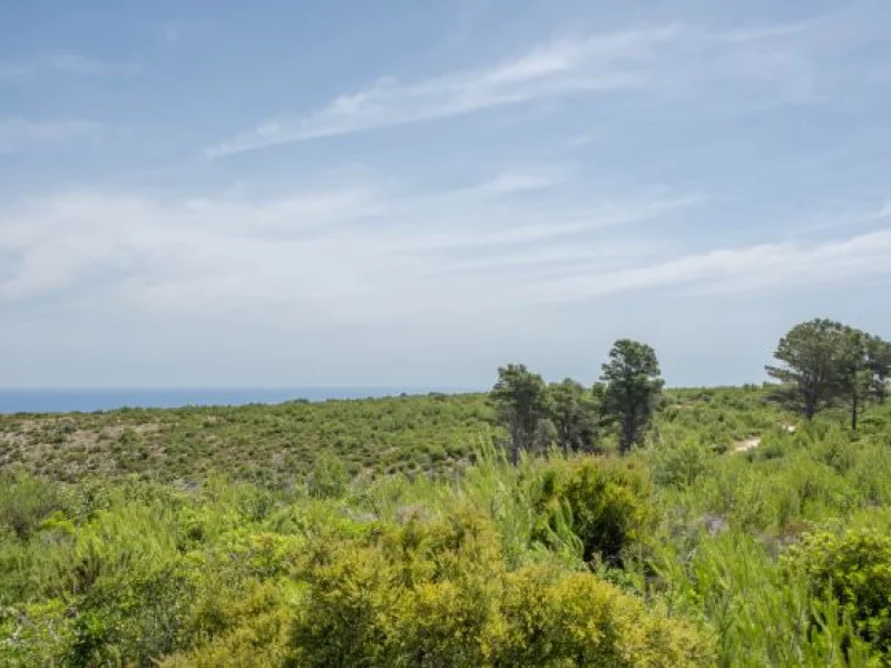 Terrain rural avec vue sur la mer à Jávea, près du Montgó