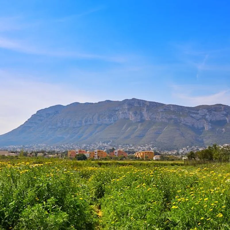 Immobilier à Dénia Montgó | Vente et Achat