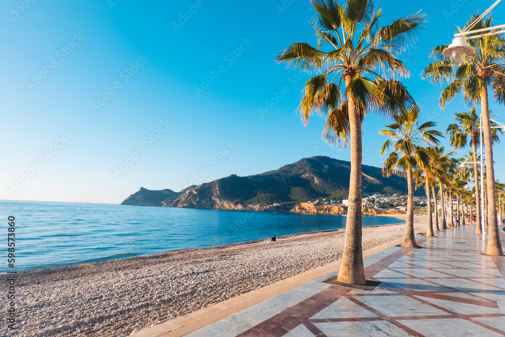 Propriétés à vendre à Albir