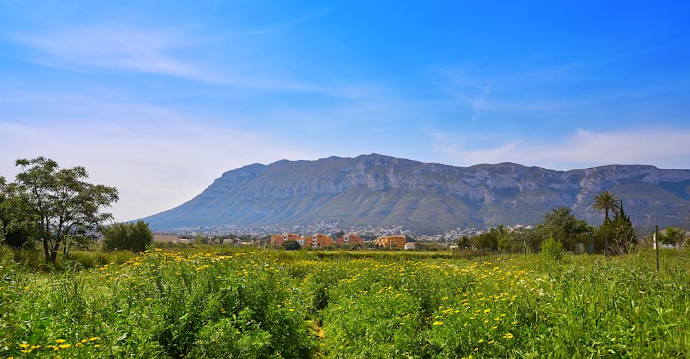 Propriétés à vendre à Montgó (Dénia)