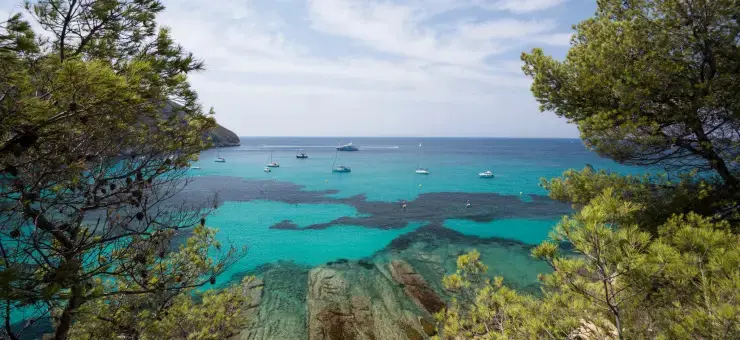 Propriétés à vendre Cami San Miguel Teulada (Moraira)