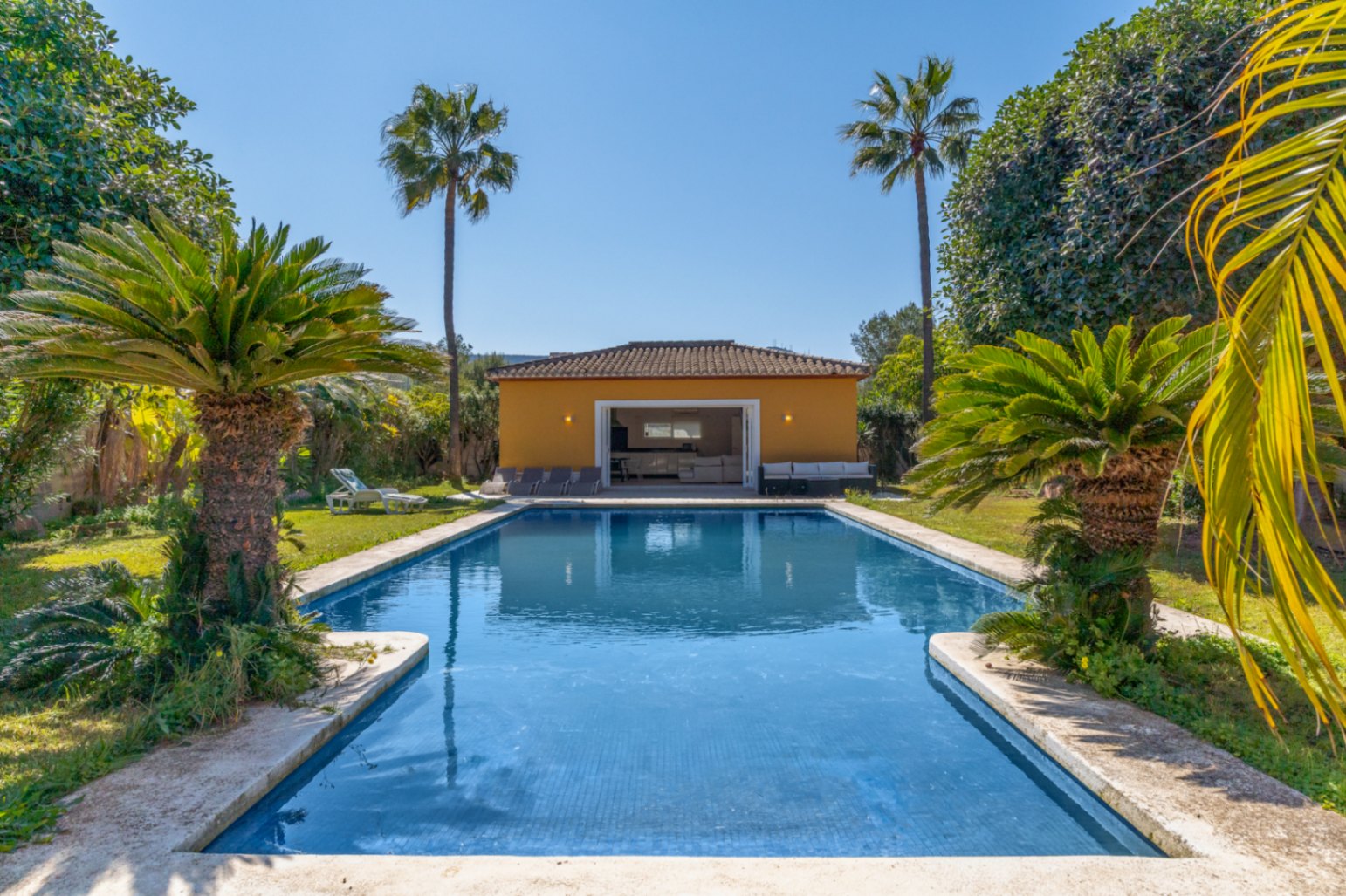 Grande piscine de 15x6 mètres entourée d'un jardin méditerranéen avec palmiers, faisant face à un pavillon de jardin de 67 m² avec espace barbecue.