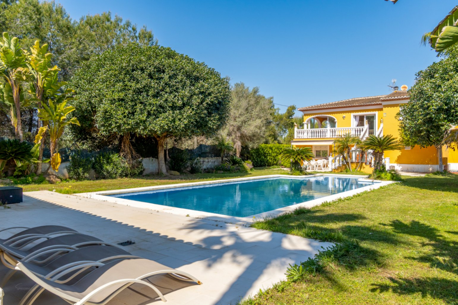 Grande piscine de 15x6m entourée d'une pelouse plate et d'arbres matures, avec la villa jaune et ses terrasses à balustrades blanches en arrière-plan.