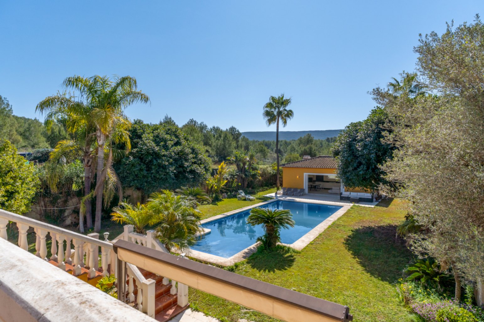 Vue surélevée sur le jardin méditerranéen avec piscine de 15x6m, palmiers et pavillon d'été, le tout bordé par un paysage naturel préservé et verdoyant.