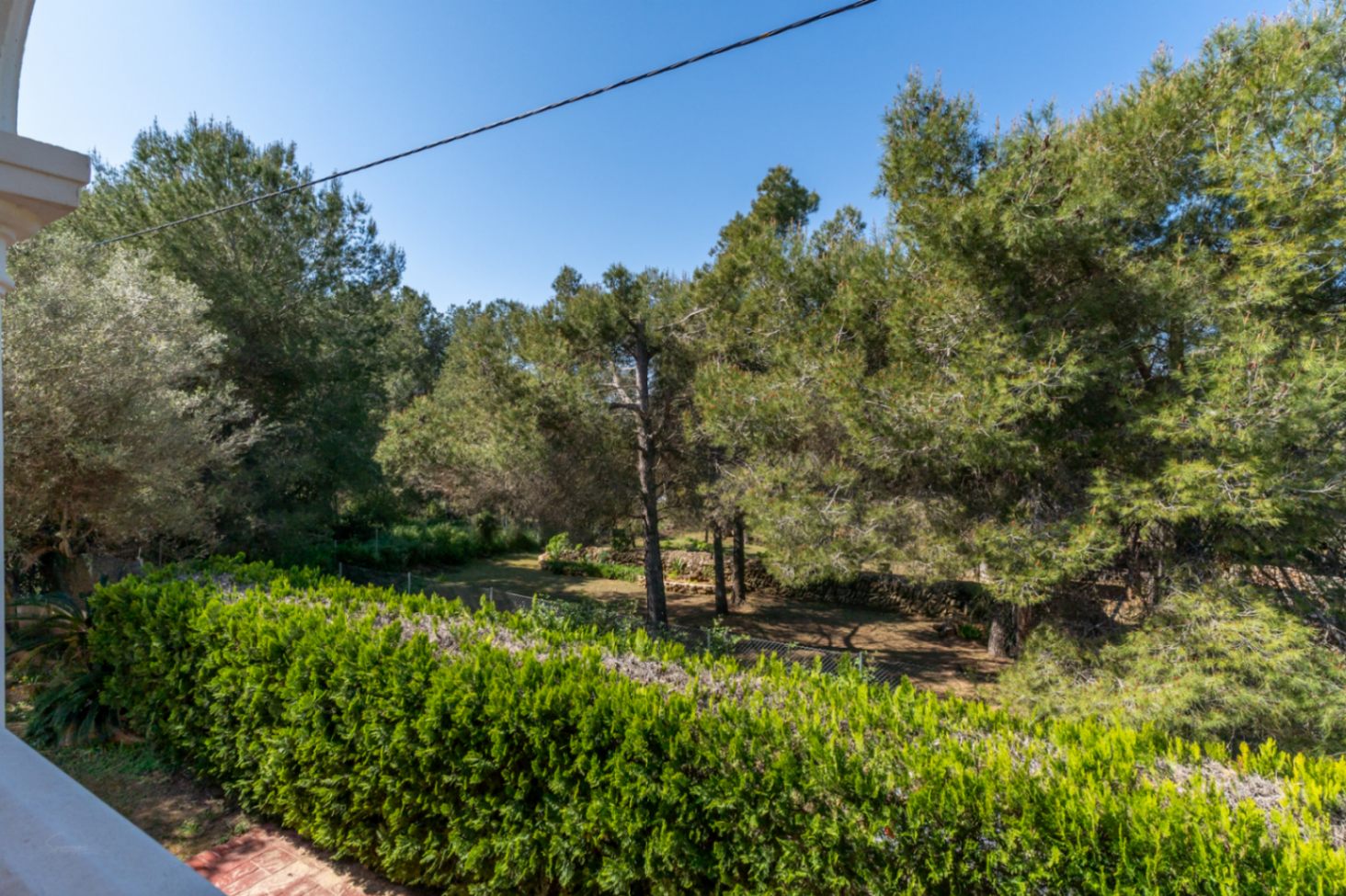 Vue surélevée sur l'environnement naturel, avec des pins matures et des murs en pierre sèche traditionnelle garantissant une intimité totale et le calme.