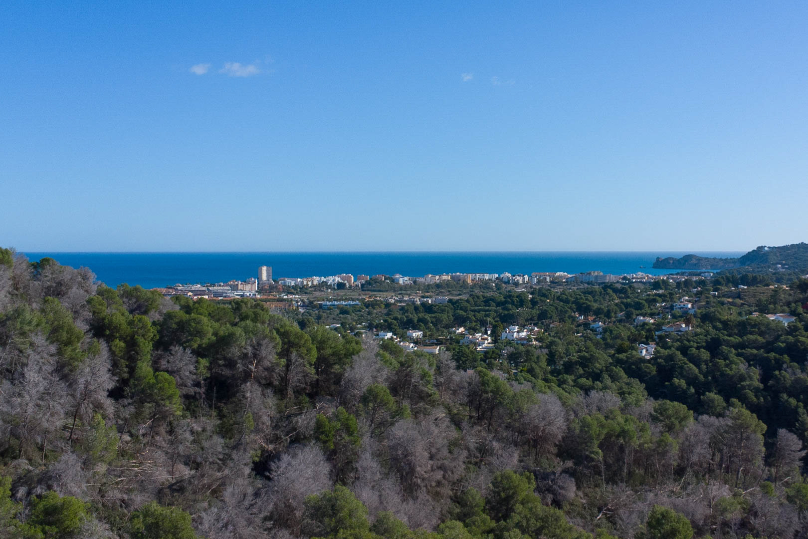Vues panoramiques depuis la propriété sur la mer Méditerranée et la ville côtière, entourées d'une forêt de pins sous un ciel bleu dégagé.
