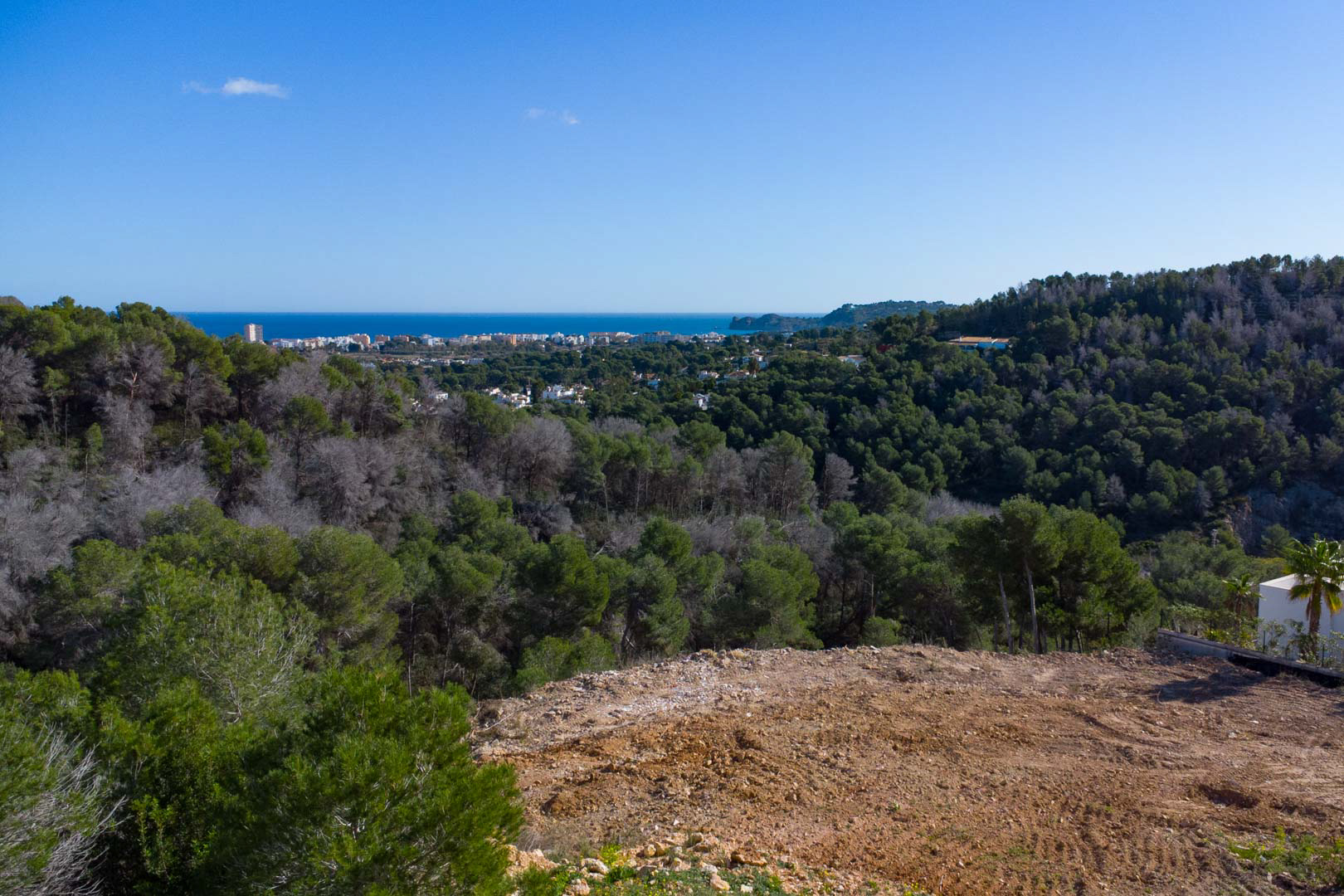 Vues panoramiques depuis le terrain surélevé sur la mer Méditerranée, entouré d'une forêt de pins dense et de la ligne d'horizon côtière.