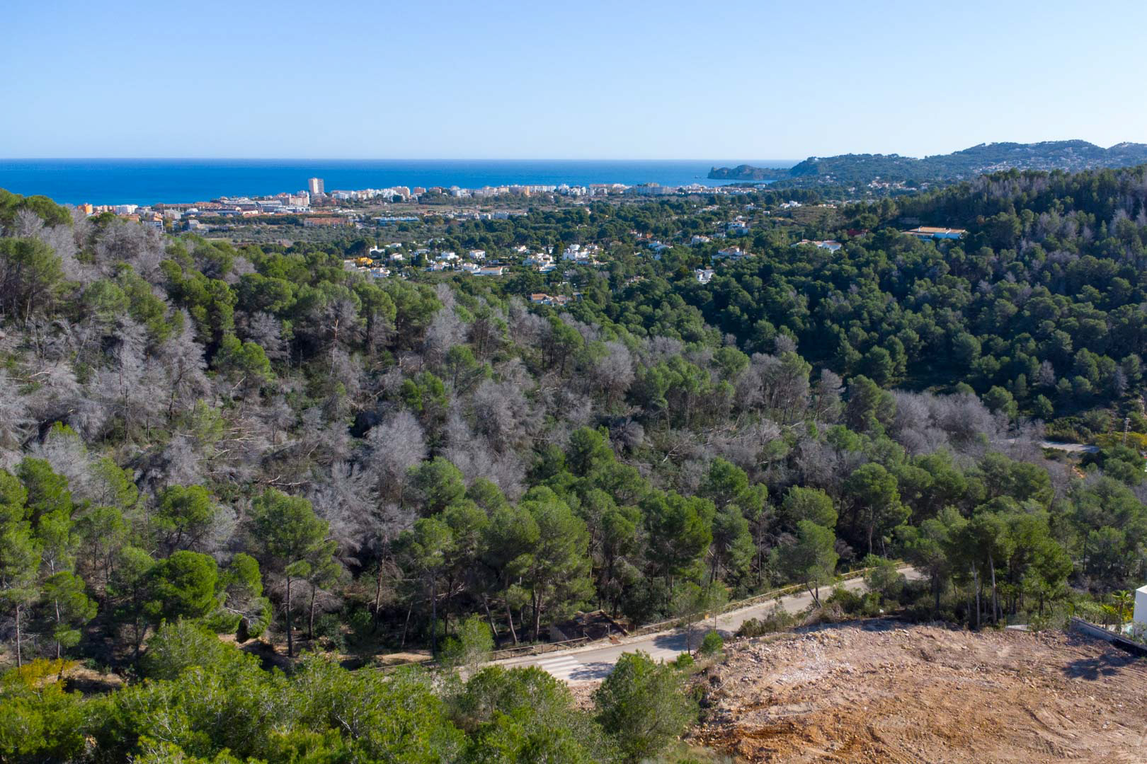 Vues panoramiques depuis le terrain surélevé vers la mer Méditerranée, entouré d'une pinède naturelle avec la ville côtière à l'horizon.