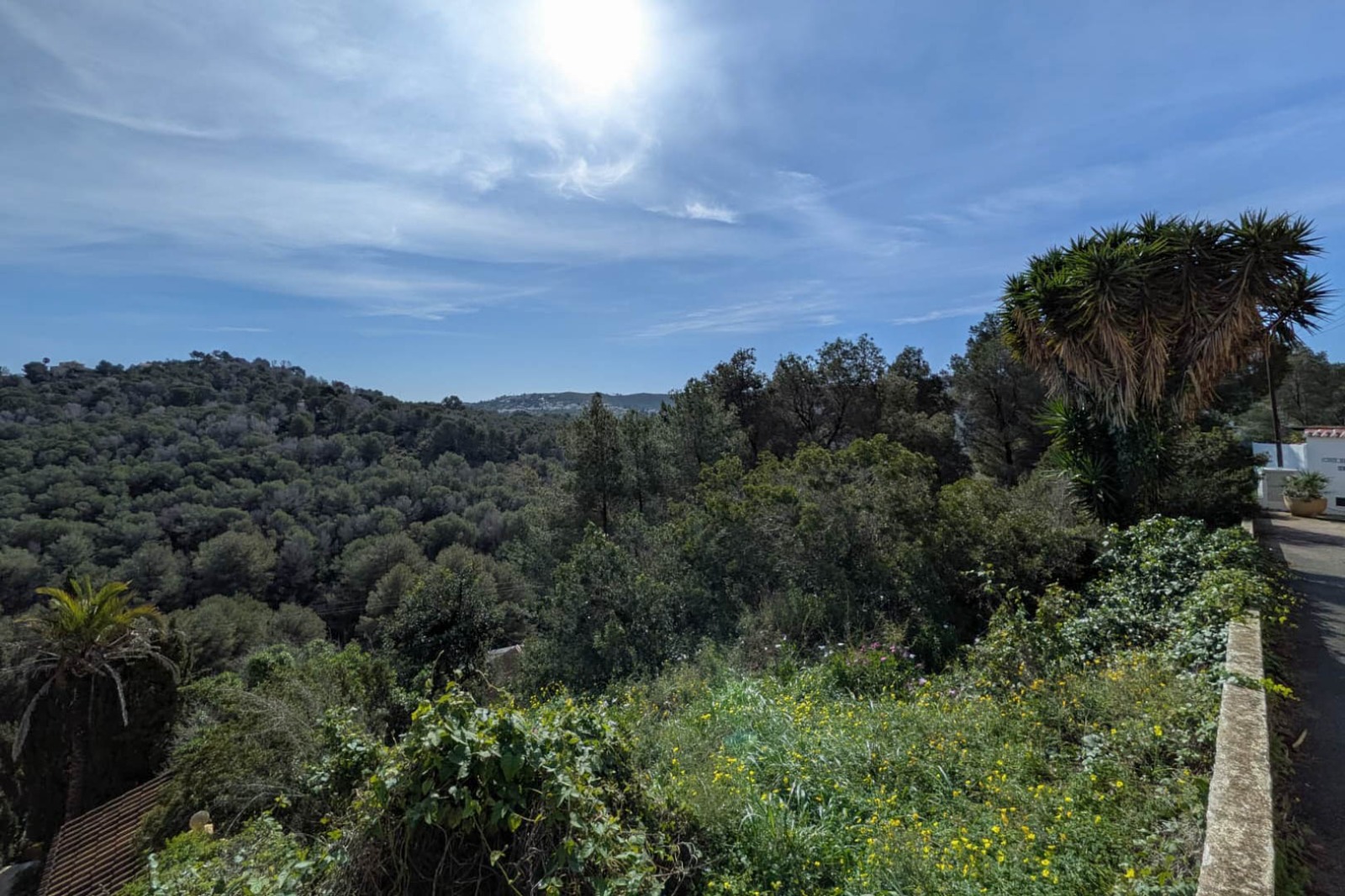 Vue panoramique depuis le terrain en hauteur sur les collines boisées et la mer Méditerranée à l'horizon, entourée d'une végétation locale dense.