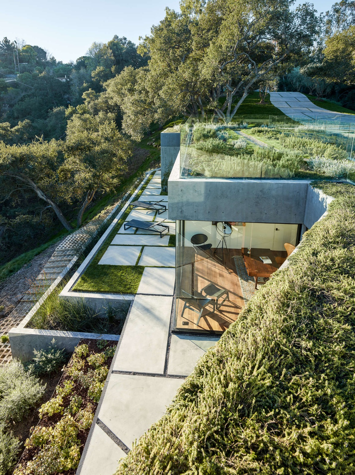 Architecture moderne à flanc de colline avec toitures végétalisées, béton brut et grandes baies vitrées ouvrant sur des terrasses en pierre et un environnement boisé.