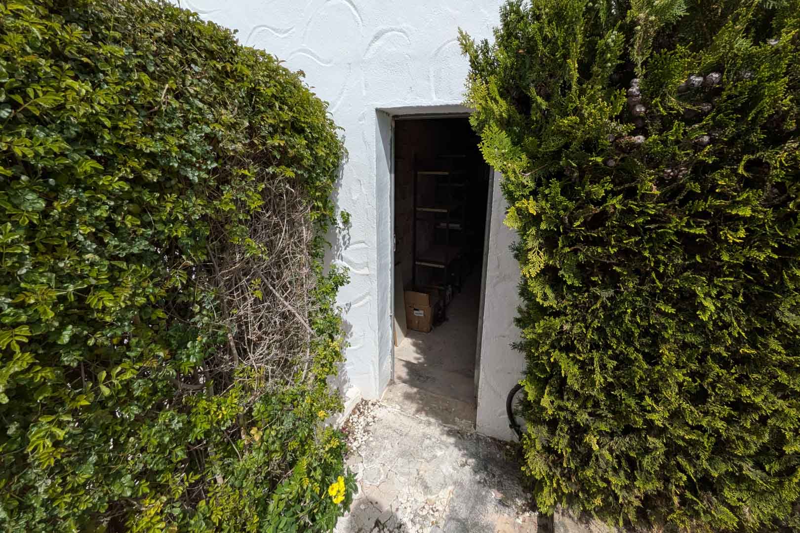 Entrée d'un débarras extérieur indépendant entouré d'une végétation dense. L'intérieur est équipé d'étagères métalliques pour un rangement optimisé.