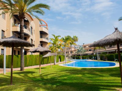 Vaste jardin communautaire avec deux piscines, pelouses verdoyantes, palmiers et parasols de paille. Bâtiments résidentiels avec balcons en arrière-plan.