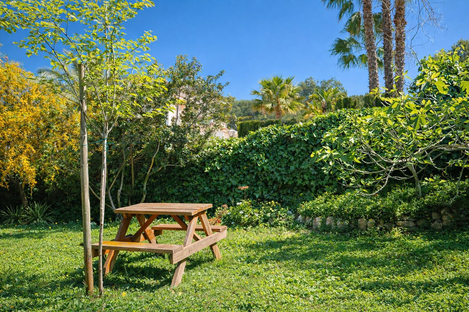 Espace jardin avec pelouse naturelle et table de pique-nique en bois, bordé d'une haie dense assurant l'intimité sous le soleil méditerranéen.