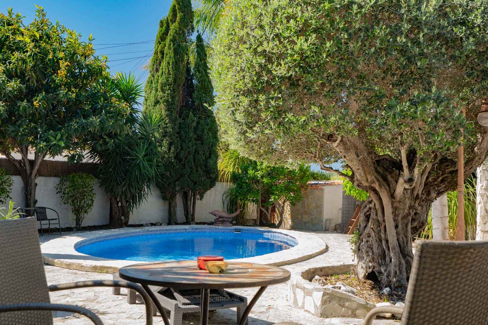 Jardin méditerranéen avec piscine circulaire, terrasse en pierre naturelle et végétation mature comprenant un olivier centenaire et des cyprès.