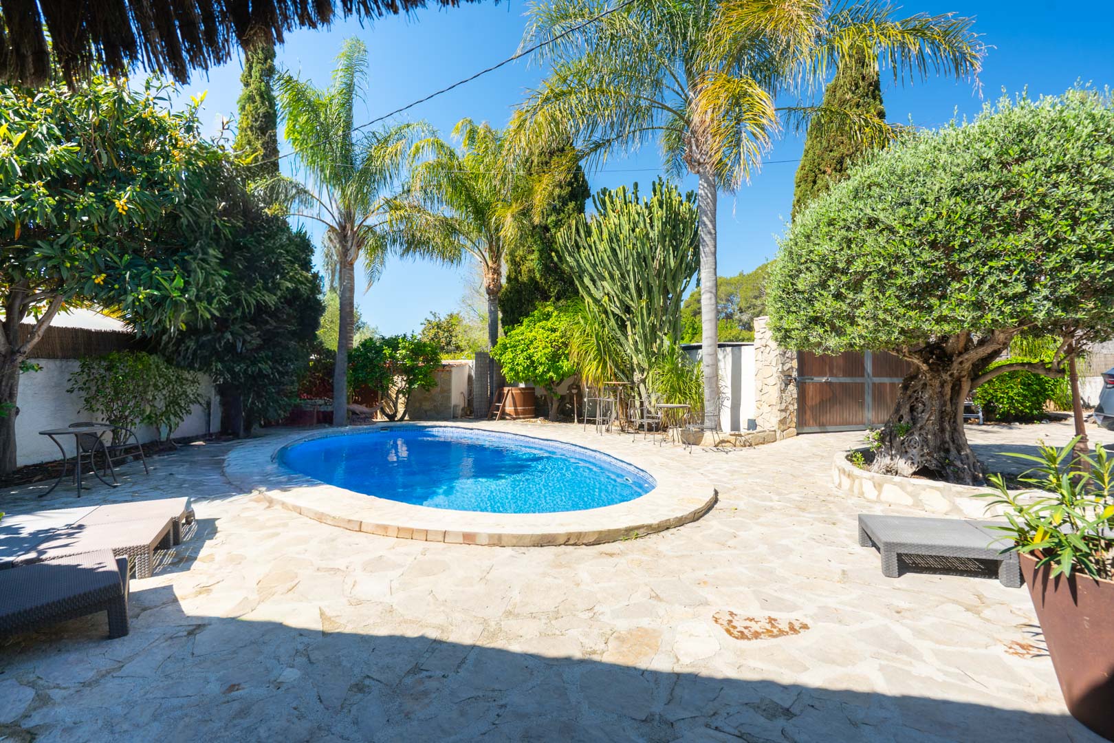 Piscine ovale nichée dans une terrasse en pierre naturelle, entourée d'un jardin méditerranéen avec palmiers, olivier et cactus.