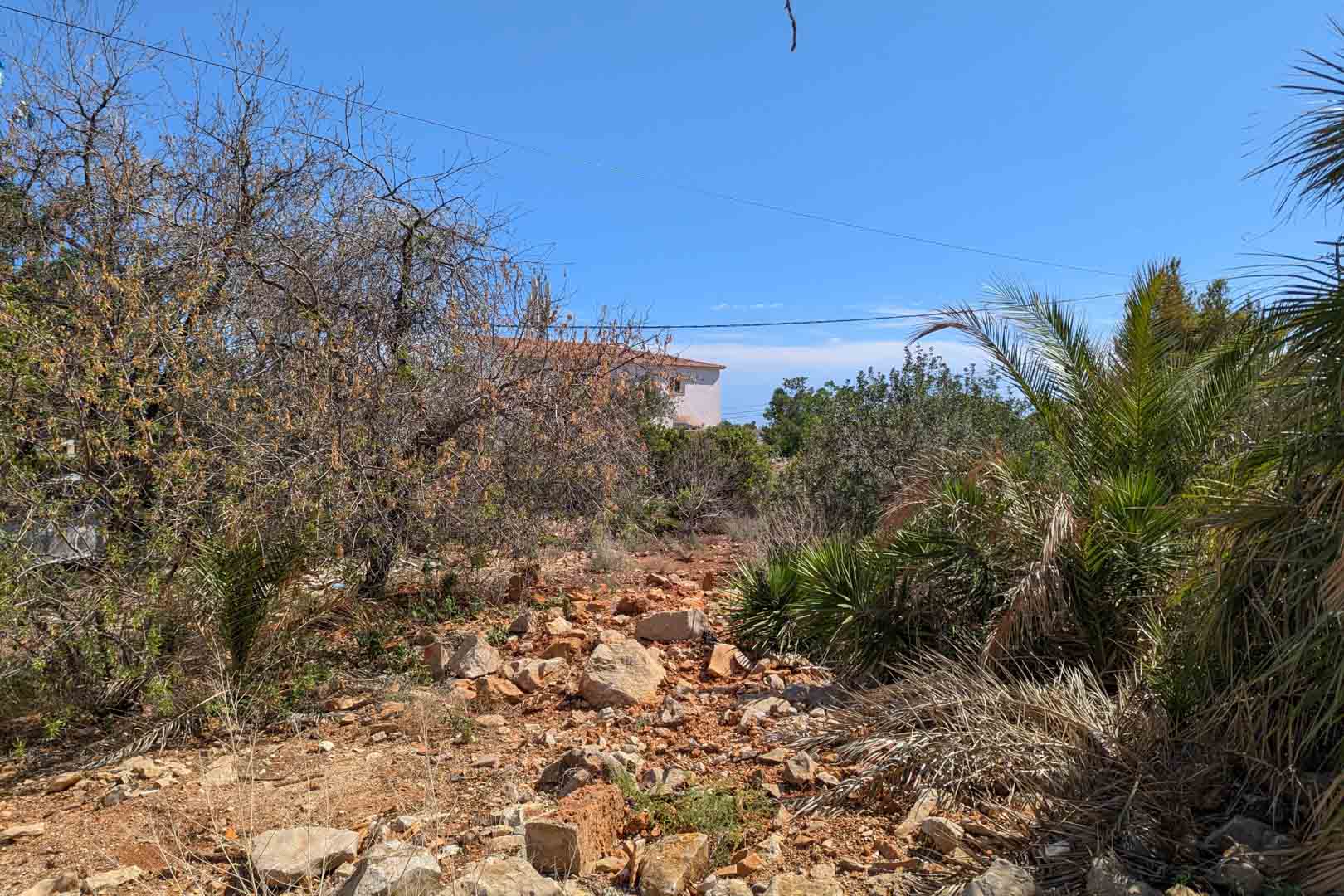 Surface du terrain avec un sol rocheux et une végétation méditerranéenne indigène, illustrant l'environnement naturel et la proximité des habitations.