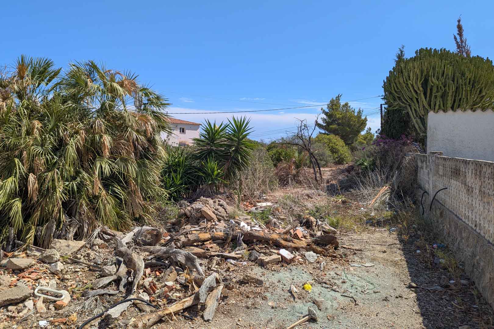 Terrain urbain avec une végétation méditerranéenne dense, des palmiers et des débris de bois, délimité par un mur d'enceinte sous un ciel dégagé.