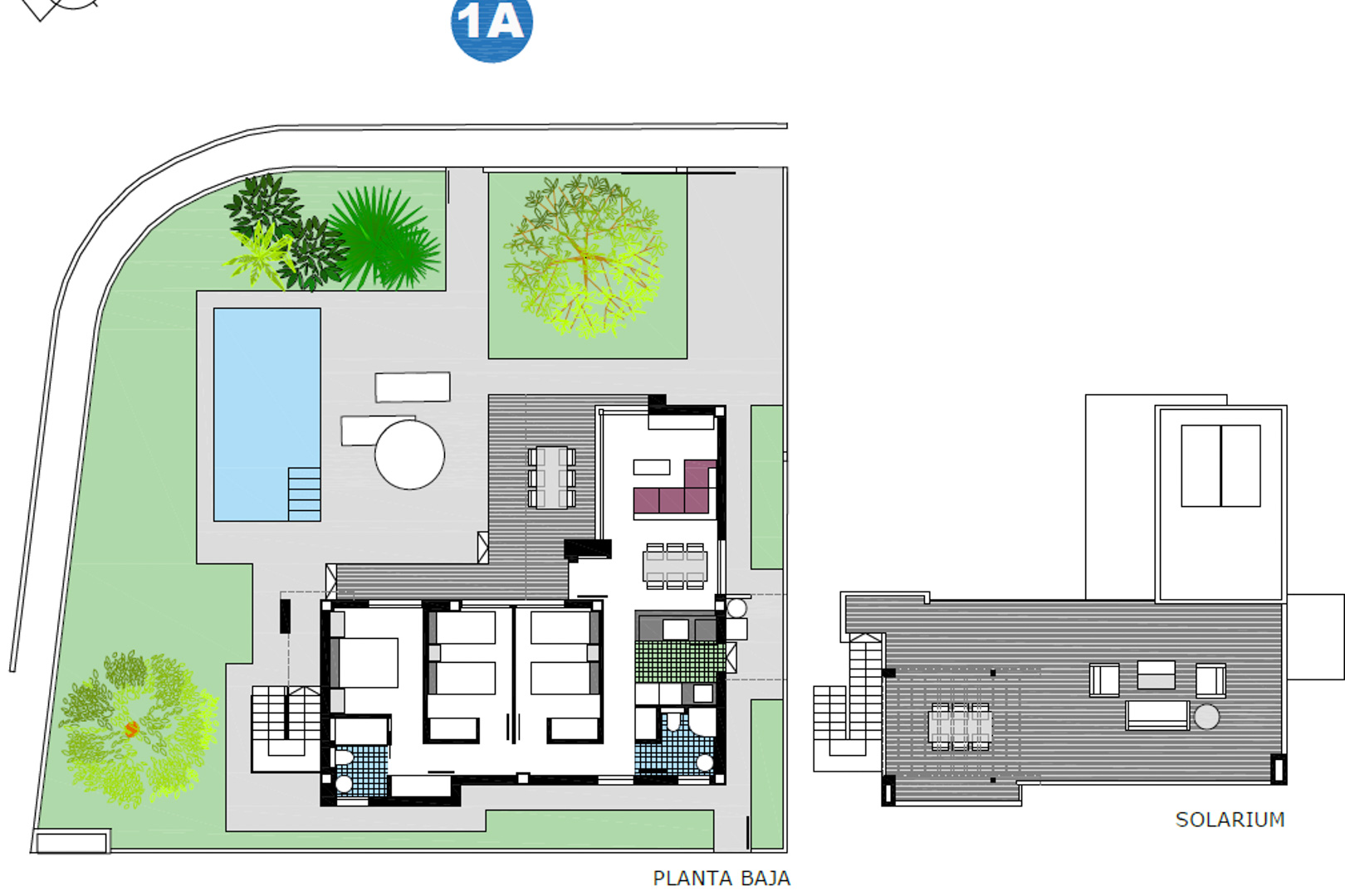 Plan détaillé du rez-de-chaussée et du solarium, présentant la distribution des trois chambres, du séjour et de l'espace extérieur avec jardin et piscine.