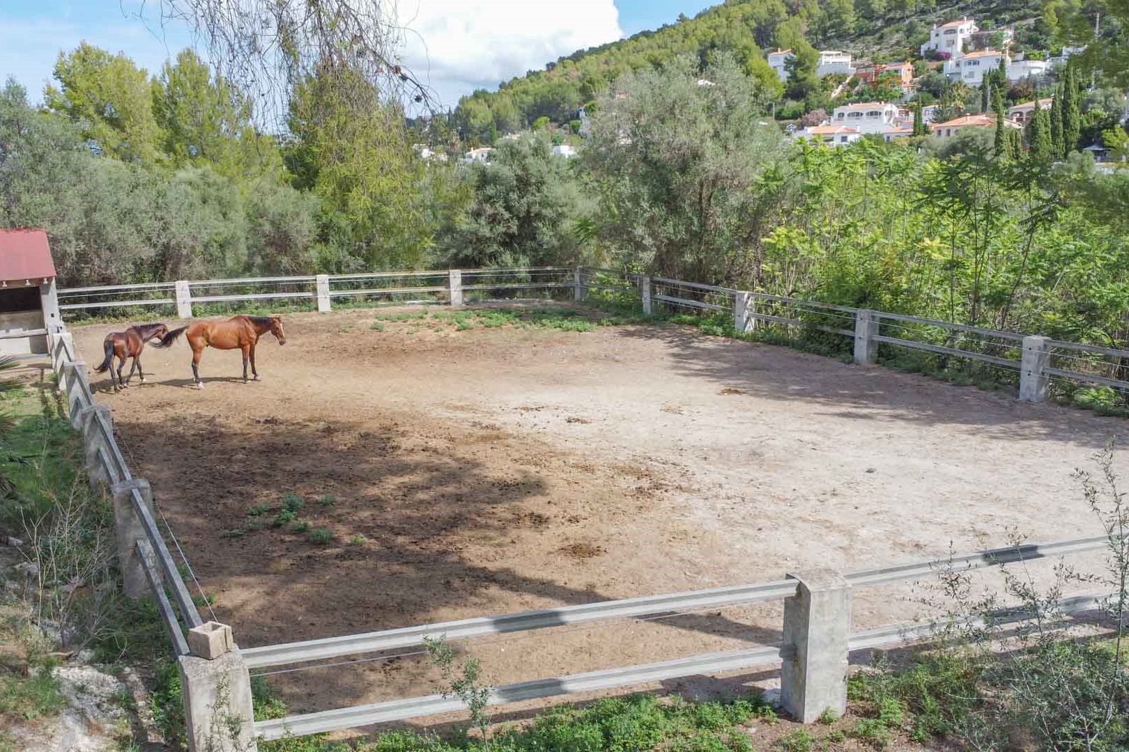 Carrière équestre clôturée avec poteaux en pierre, située sur un vaste terrain entouré de pins et de végétation méditerranéenne.