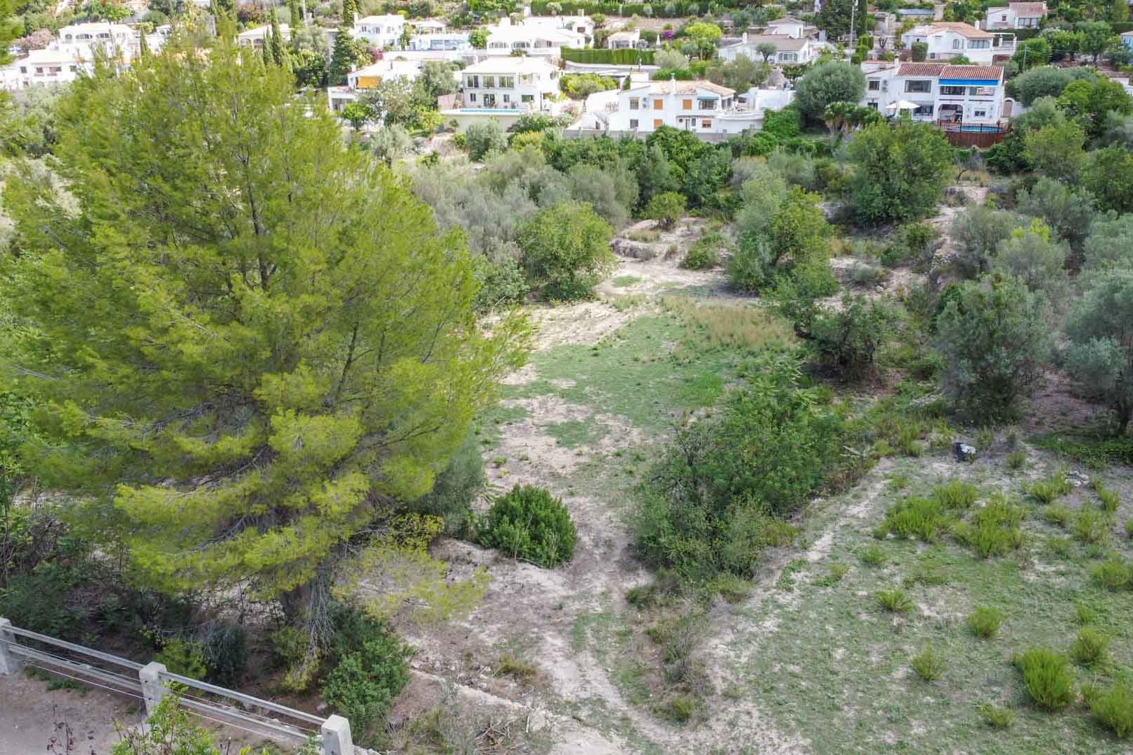 Vue surélevée du vaste terrain naturel avec des pins matures et une végétation méditerranéenne, situé dans un quartier résidentiel calme à Orba.