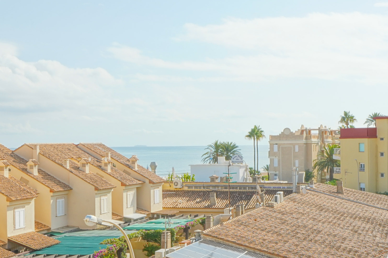 Vue surélevée sur les toits méditerranéens en terre cuite et les palmiers, offrant une perspective sur la mer à l'horizon par temps clair.