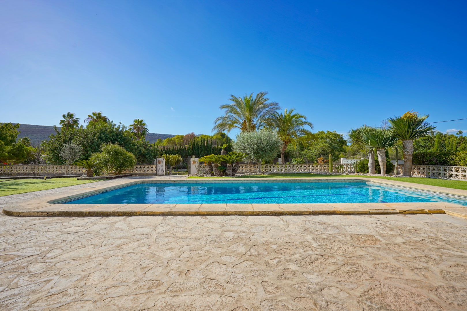 Piscine rectangulaire entourée d'une terrasse en pierre naturelle et d'un jardin méditerranéen arboré de palmiers et de yuccas.