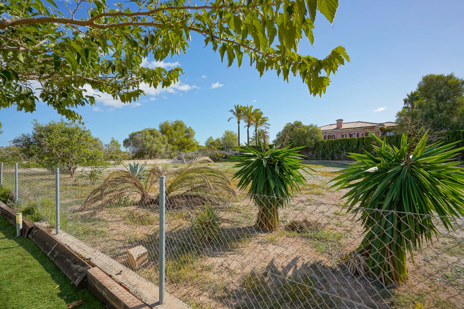 Terrain plat de 4008 m² avec végétation méditerranéenne, yuccas et palmiers, délimité par une clôture grillagée dans un environnement calme et ensoleillé.