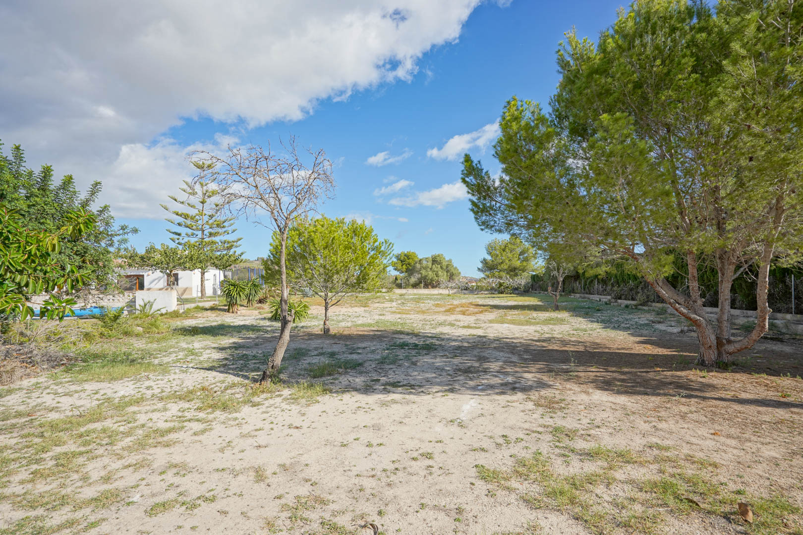 Vaste terrain plat de 4008 m² agrémenté de pins matures et d'une végétation locale, offrant un grand espace extérieur et un fort potentiel d'aménagement.