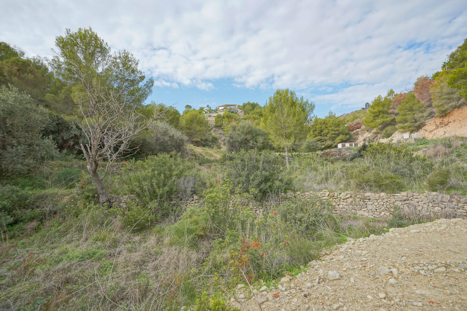 Terrain à bâtir avec végétation méditerranéenne naturelle, murs en pierre sèche et vue sur les collines environnantes parsemées de pins.