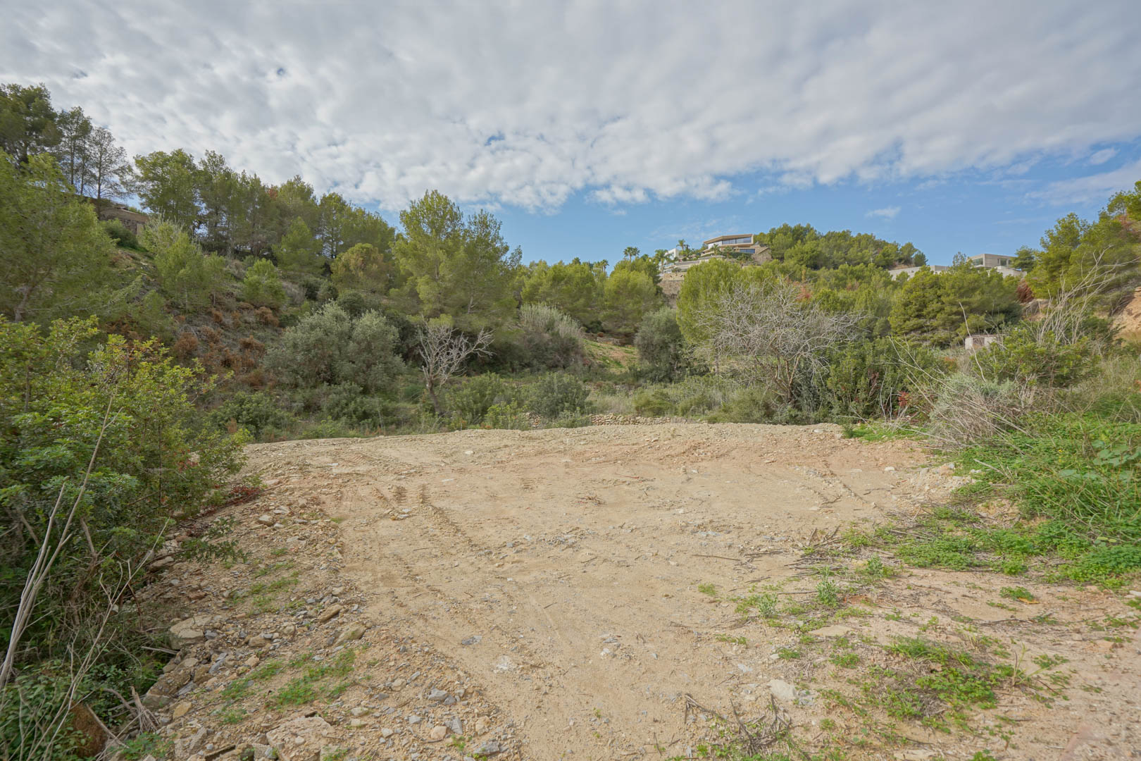 Terrain à bâtir plat et dégagé, entouré de pins méditerranéens et d'une végétation dense, prêt pour la construction de la villa de luxe.