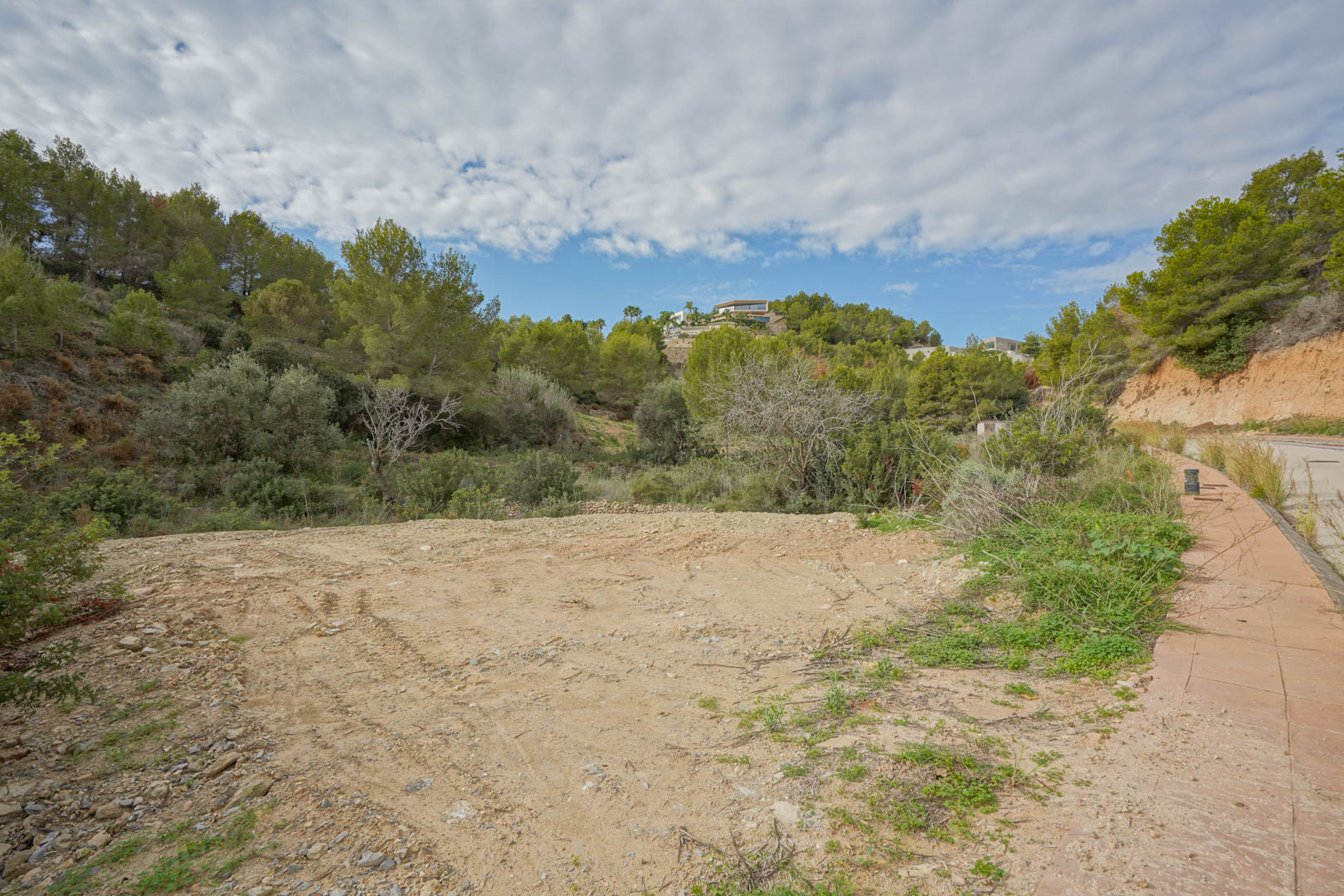 Vue du terrain plat et dégagé, entouré d'une forêt de pins méditerranéens, avec un accès direct par une rue pavée dans un quartier résidentiel calme.