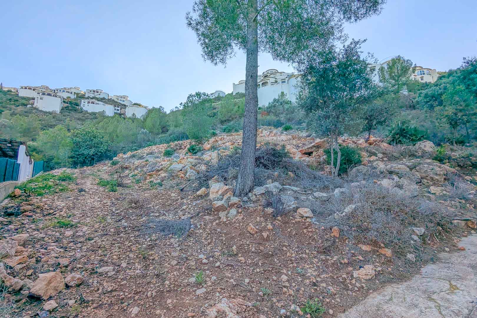 Terrain en pente à Montepego avec un sol rocheux et des pins parasols, offrant une vue sur les villas blanches nichées dans la colline.