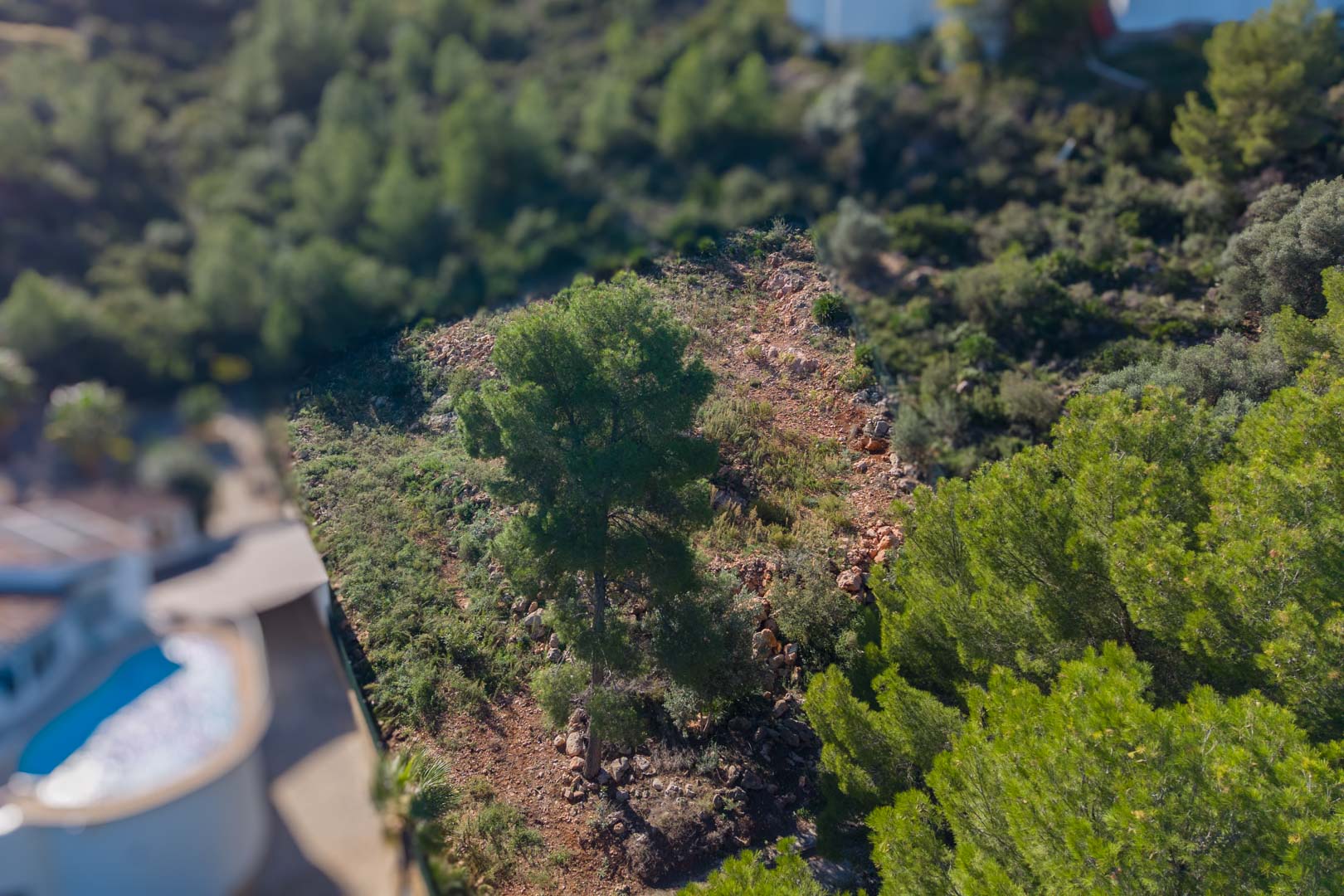 Vue aérienne du terrain à Montepego, mettant en évidence sa topographie inclinée avec des pins et une végétation méditerranéenne sur un sol rocheux.