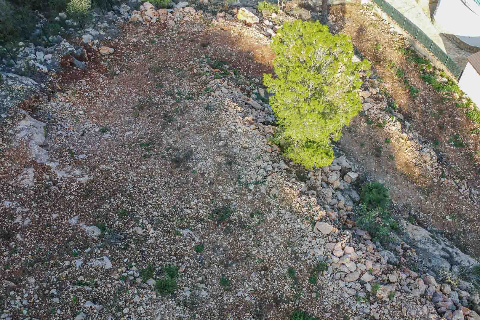 Vue aérienne du terrain à Montepego, présentant un sol rocheux dégagé avec un pin et des murets en pierre naturelle, prêt pour un projet de construction.