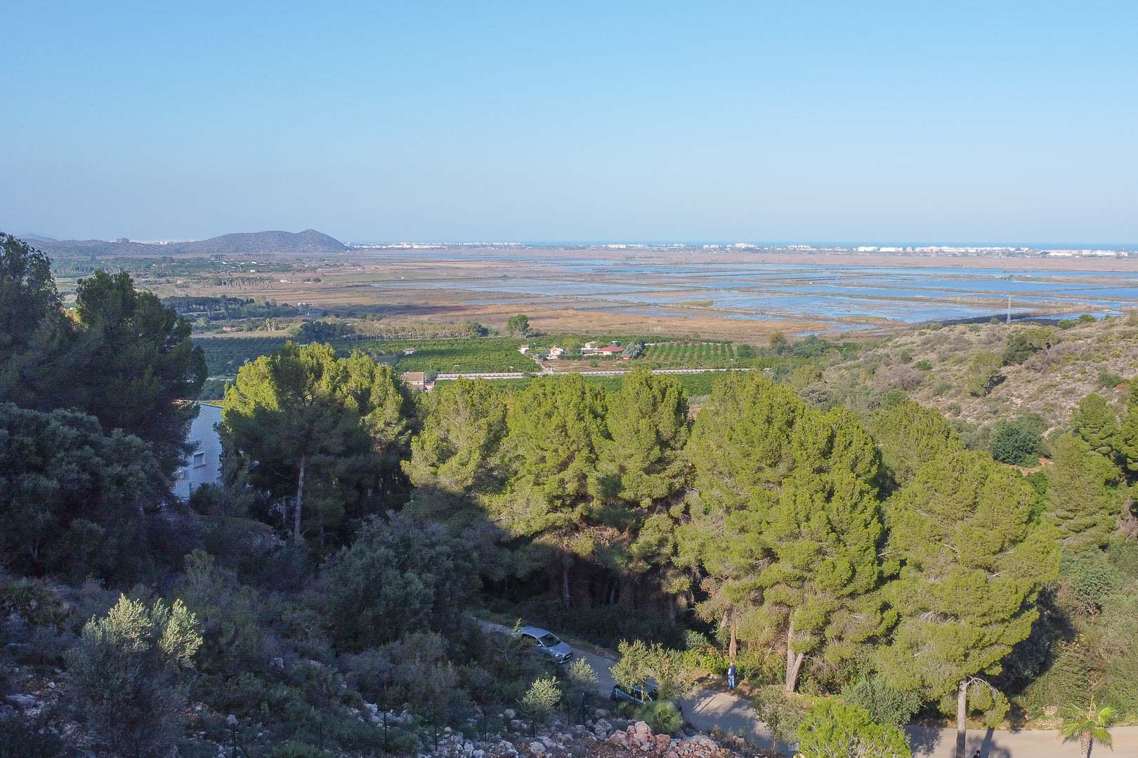 Vue panoramique depuis le terrain sur le parc naturel de la Marjal de Pego et la mer Méditerranée, entourée de pins et de végétation locale.