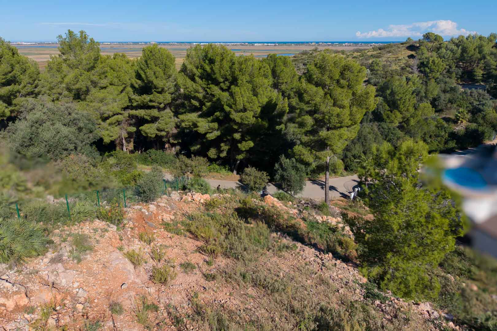 Vue panoramique depuis le terrain surélevé sur le parc naturel de la Marjal de Pego et la mer Méditerranée, bordée de pins et d'une végétation sauvage.