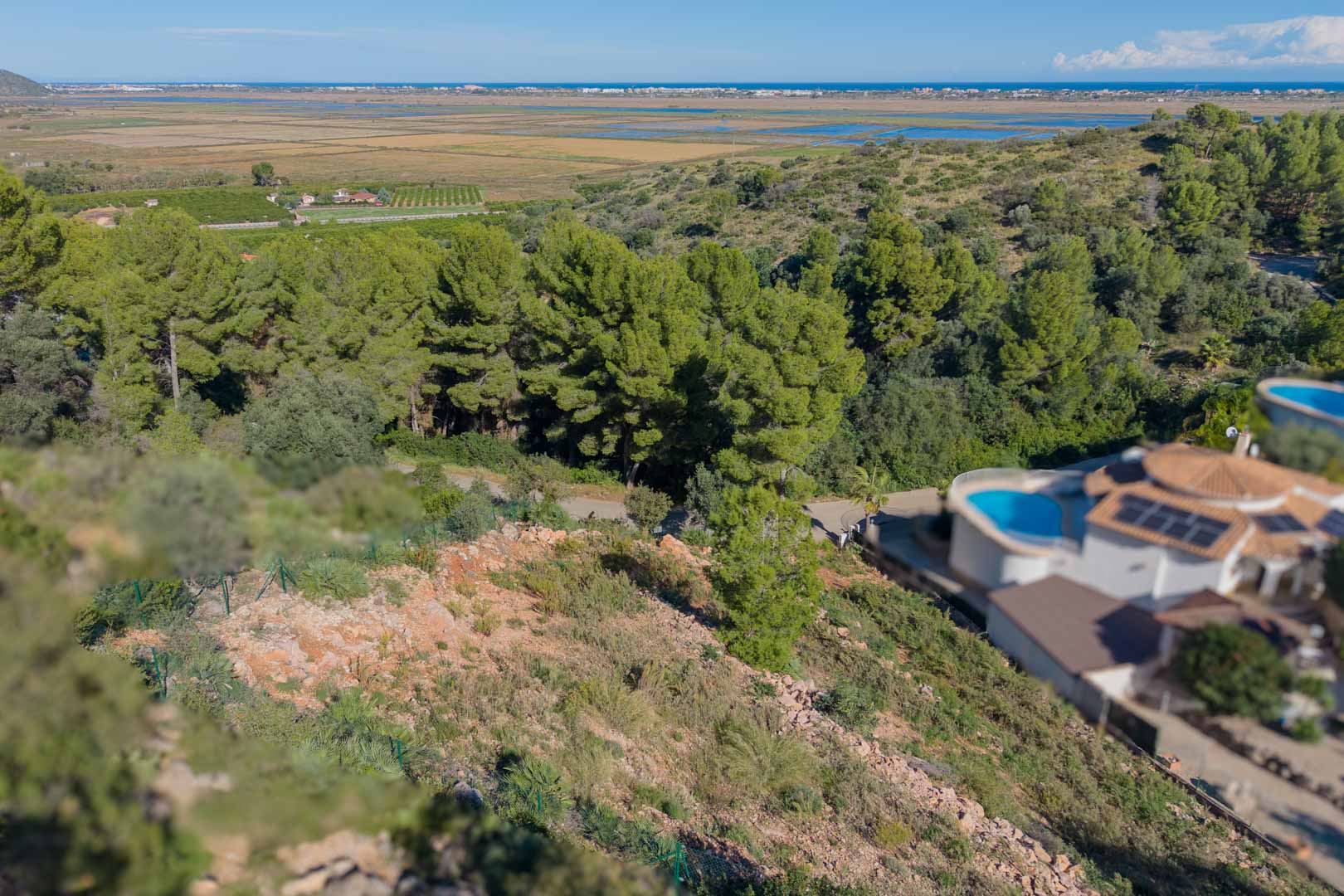 Vue panoramique depuis le terrain surélevé sur le parc naturel de la Marjal de Pego et la mer Méditerranée, entouré de pins et de végétation locale.
