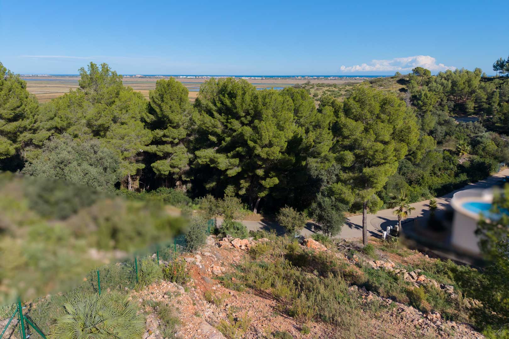 Vue panoramique depuis le terrain surélevé vers le parc naturel de la Marjal de Pego et la mer, entouré d'une pinède dense et d'une flore locale.
