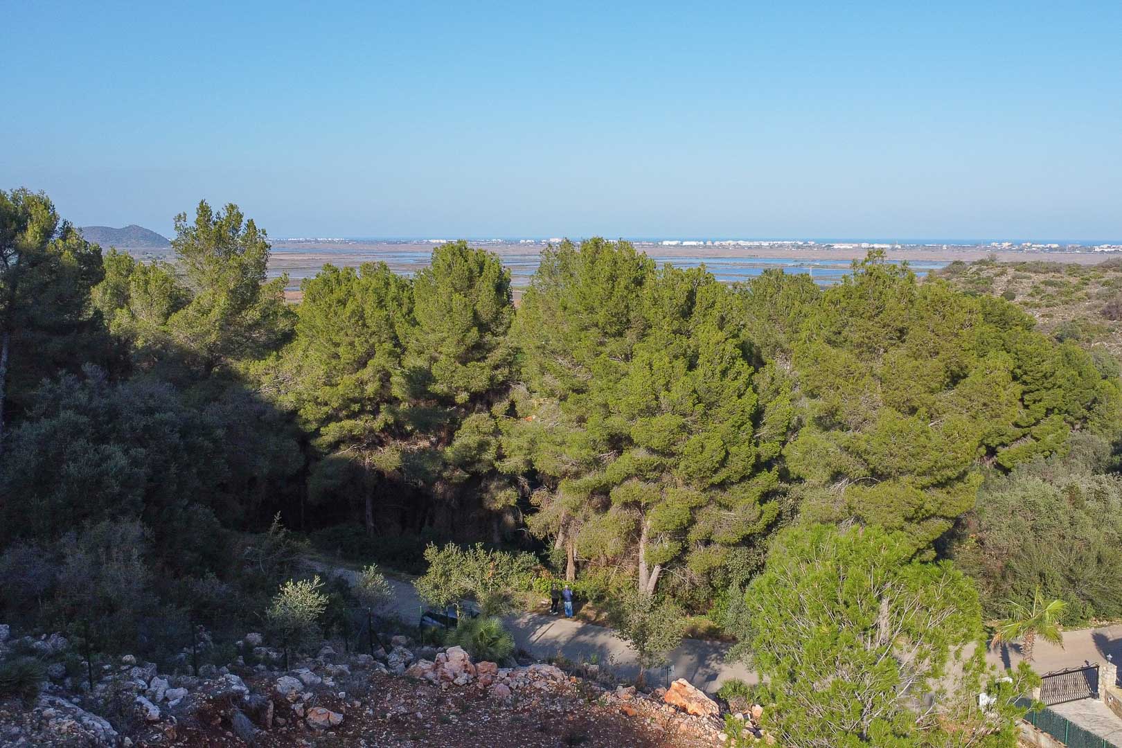 Vue panoramique surélevée depuis le terrain sur le parc naturel de la Marjal de Pego et la mer Méditerranée, entourée de pins et d'une végétation dense.