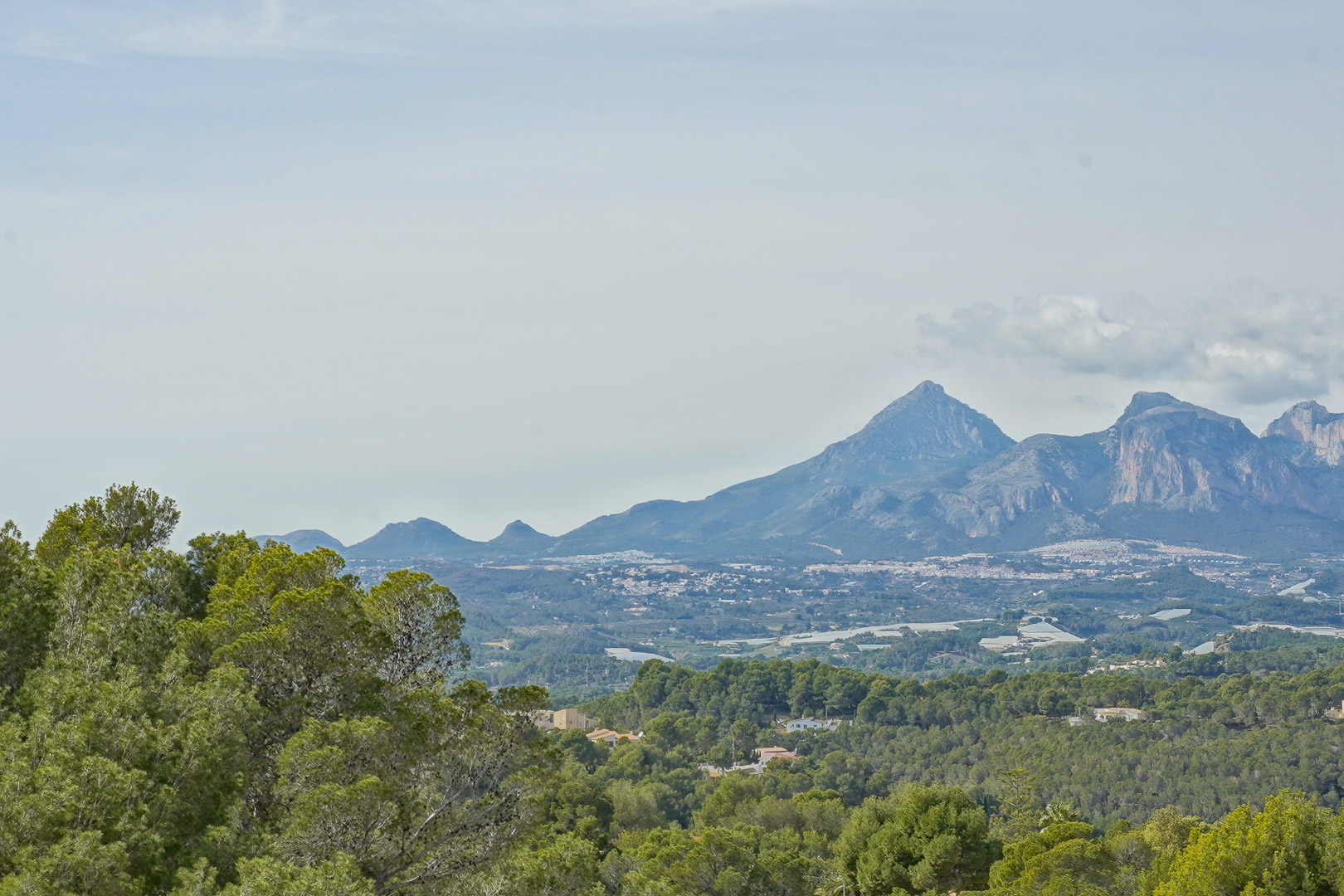 Vues panoramiques depuis la propriété sur le Puig Campana et la Sierra Aitana, entourées d'une forêt de pins méditerranéens.