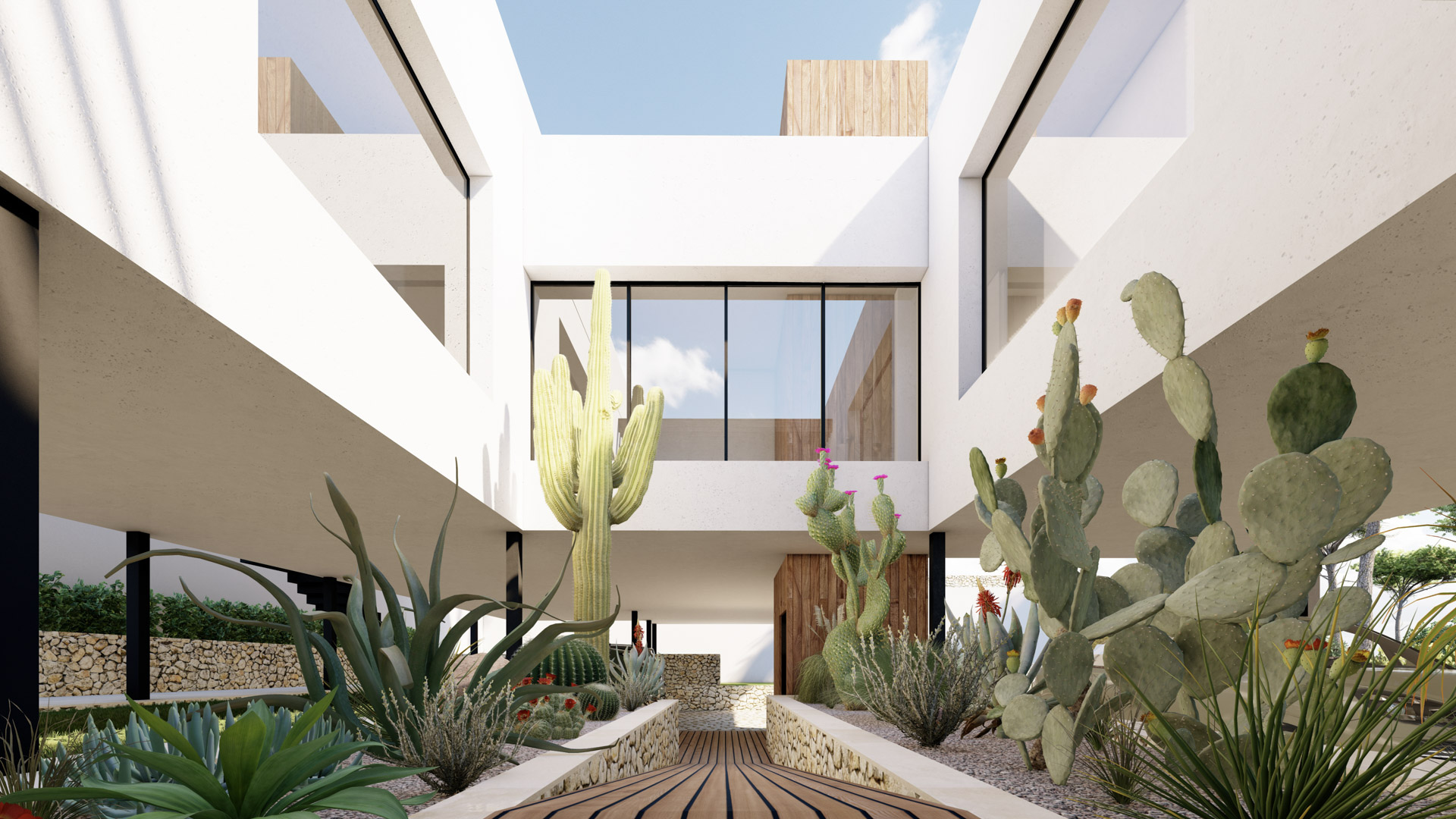 Entrée avec passerelle en bois et jardin de cactus, soulignant l'architecture minimaliste blanche et les murs en pierre sèche sous des volumes en porte-à-faux.