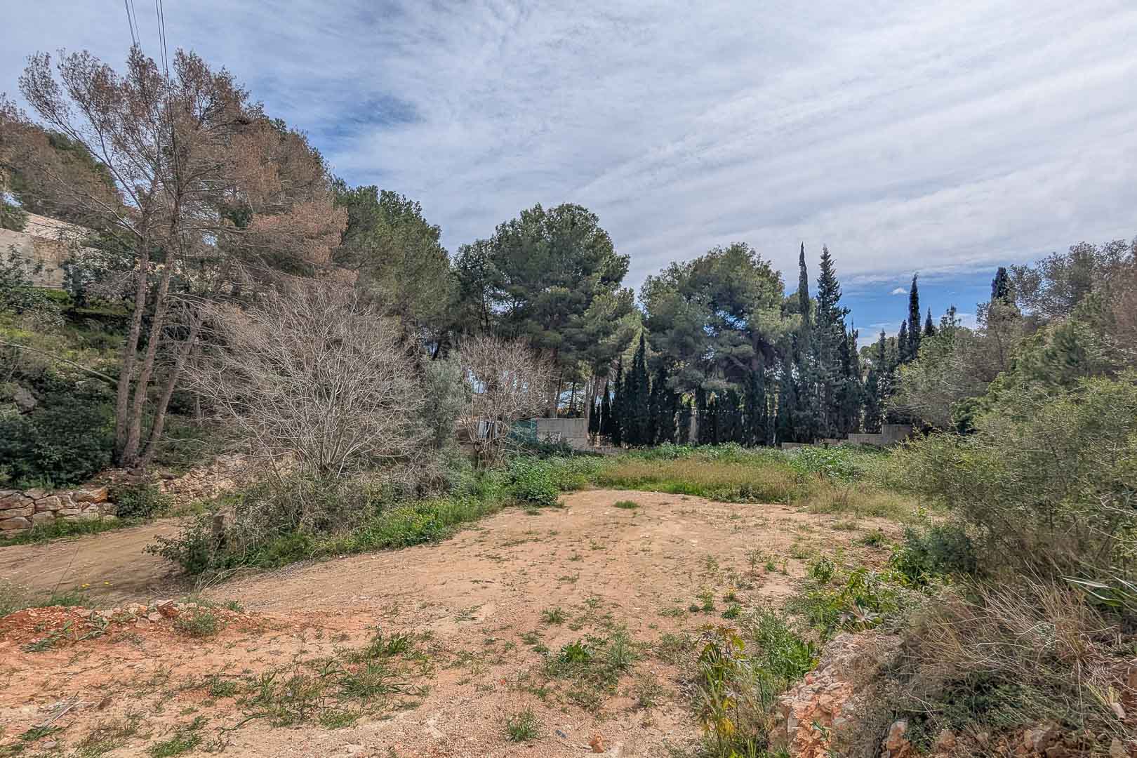 Terrain à bâtir surélevé à La Corona, entouré de pins matures et de végétation locale, offrant un cadre naturel pour un projet de villa sur mesure.