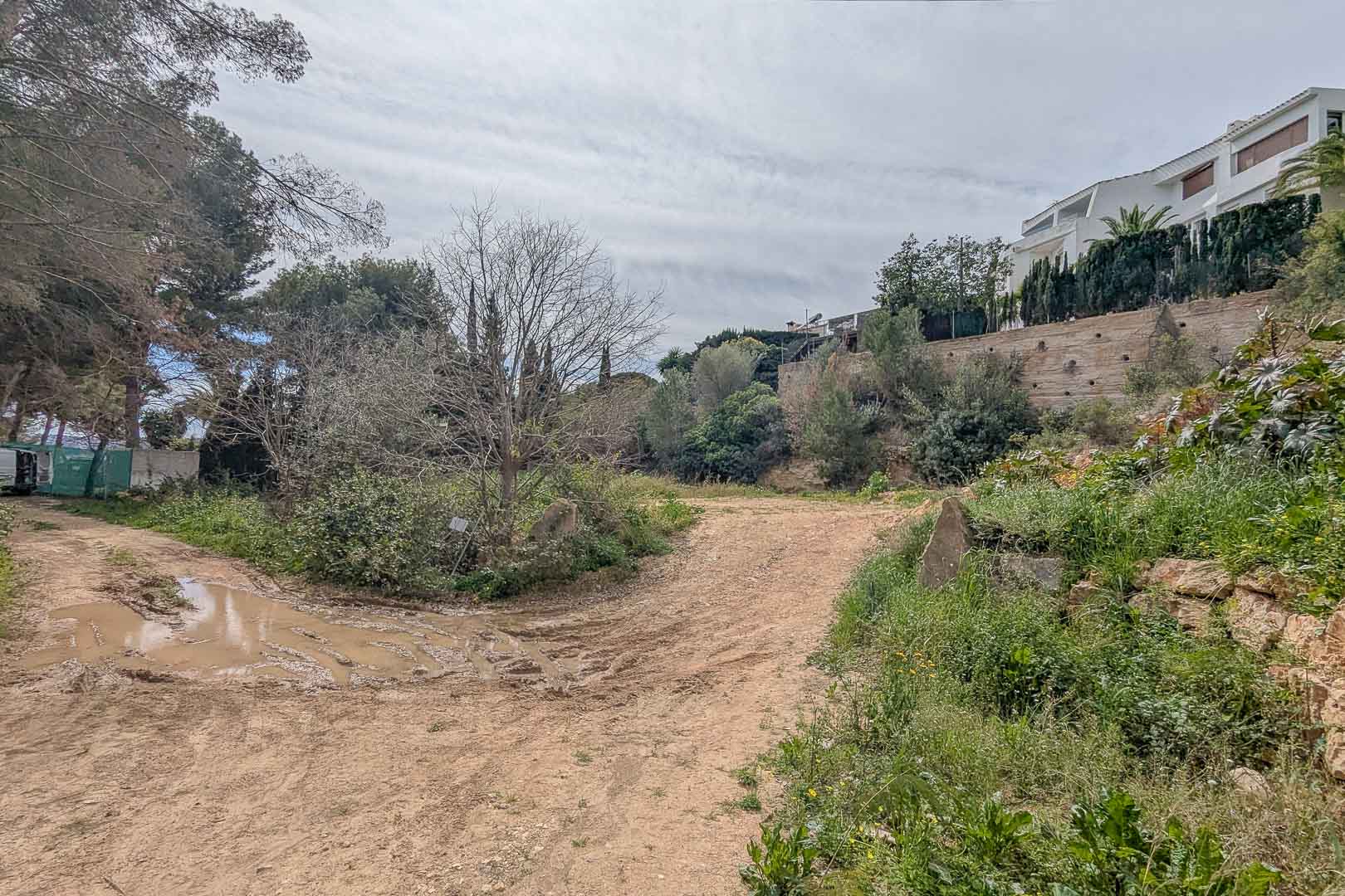 Terrain à bâtir surélevé à La Corona, présentant un espace naturel entouré de végétation locale et de propriétés résidentielles voisines.
