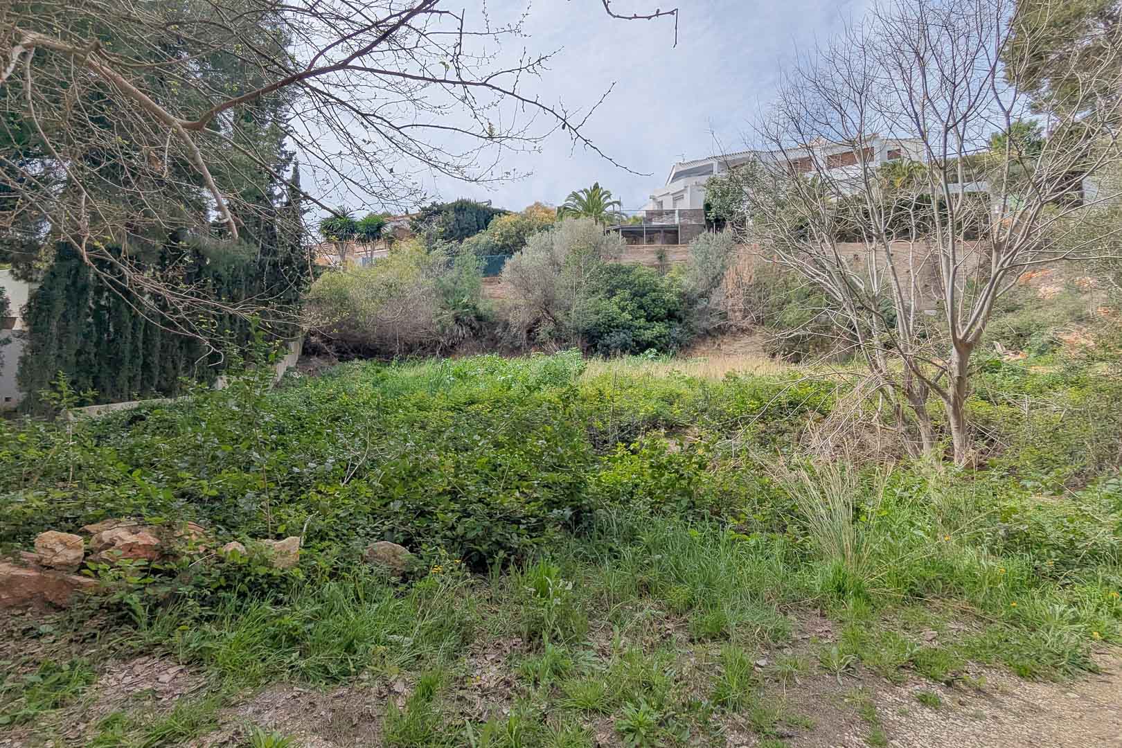 Terrain à bâtir surélevé avec une végétation méditerranéenne naturelle et des arbres matures, situé dans un quartier résidentiel établi offrant des vues dégagées.