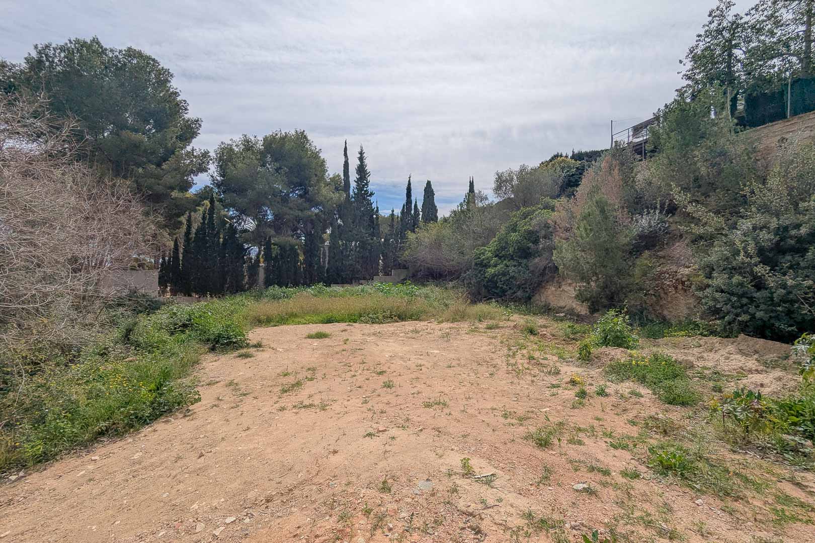 Terrain constructible surélevé à La Corona, entouré de pins et de cyprès matures, offrant un cadre naturel et privé pour une construction personnalisée.