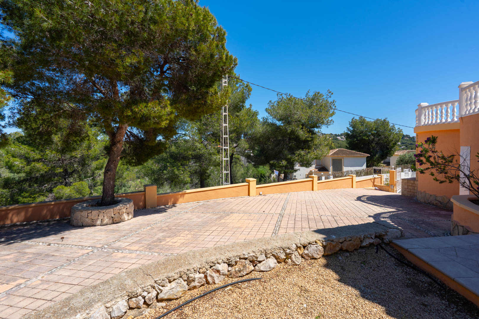 Espace d'entrée pavé avec des carreaux à motifs, bordé d'un mur bas et d'un pin mature intégré dans une jardinière circulaire en pierre naturelle.