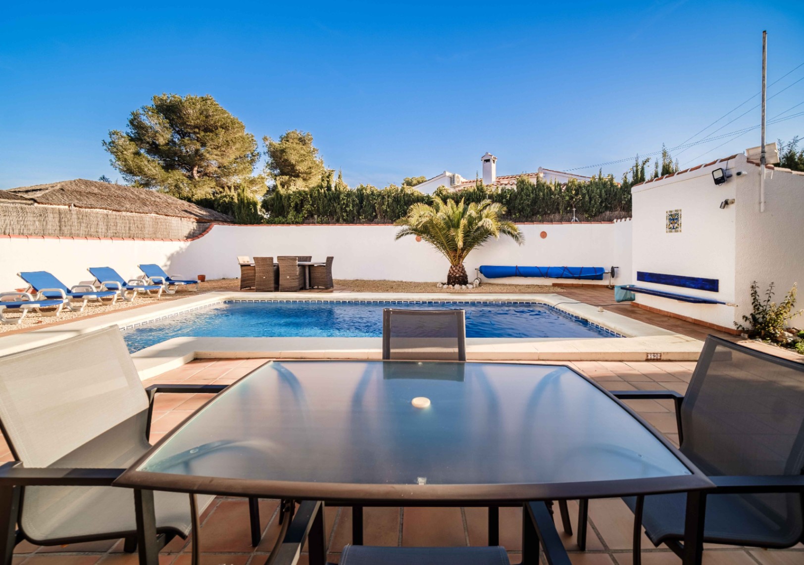 Piscine rectangulaire avec terrasse en terre cuite, espace de détente avec chaises longues et coin repas extérieur. Un palmier et des murs blancs assurent l'intimité.