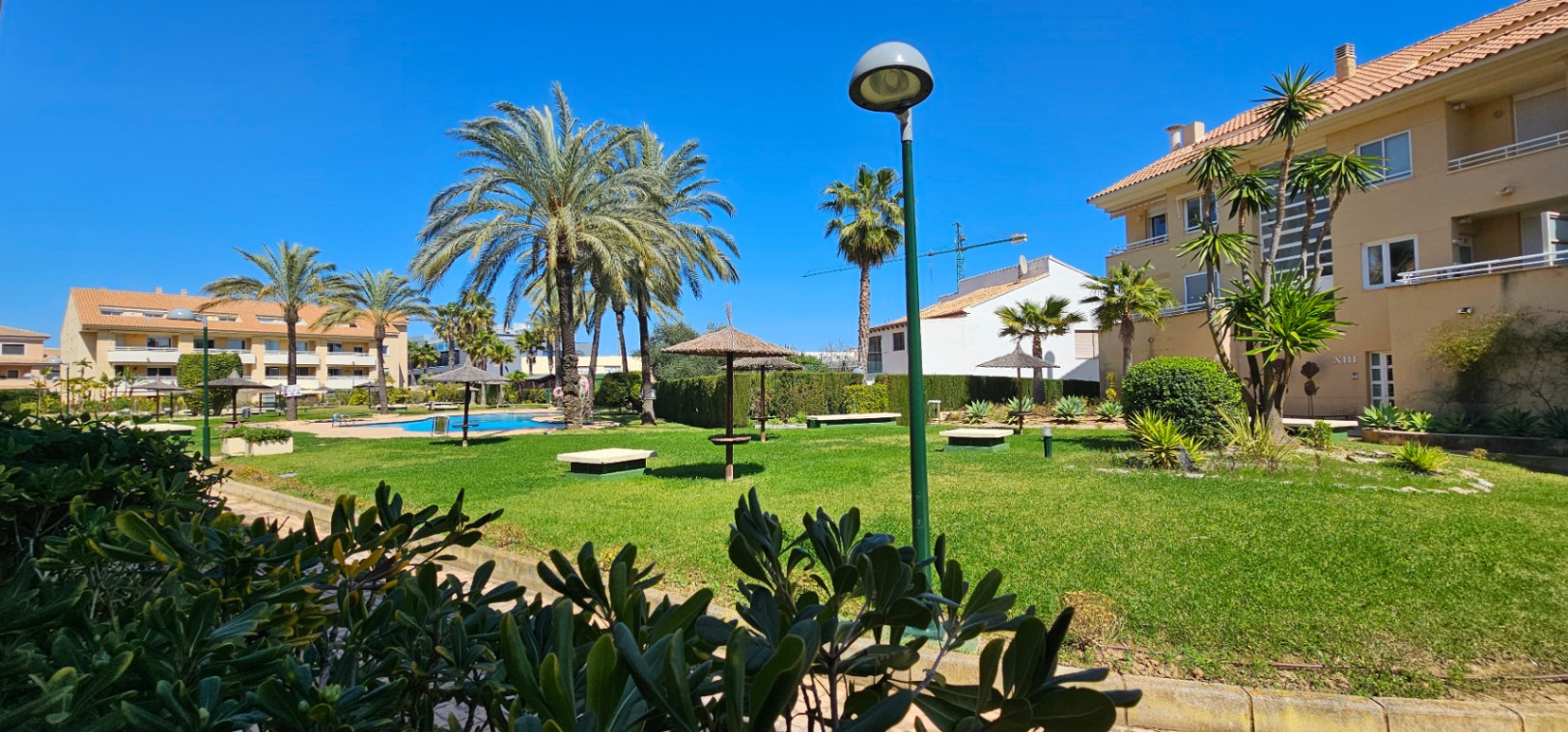 Jardin communautaire avec une vaste pelouse, des palmiers matures et des parasols en brande près de la piscine, entouré par la résidence.